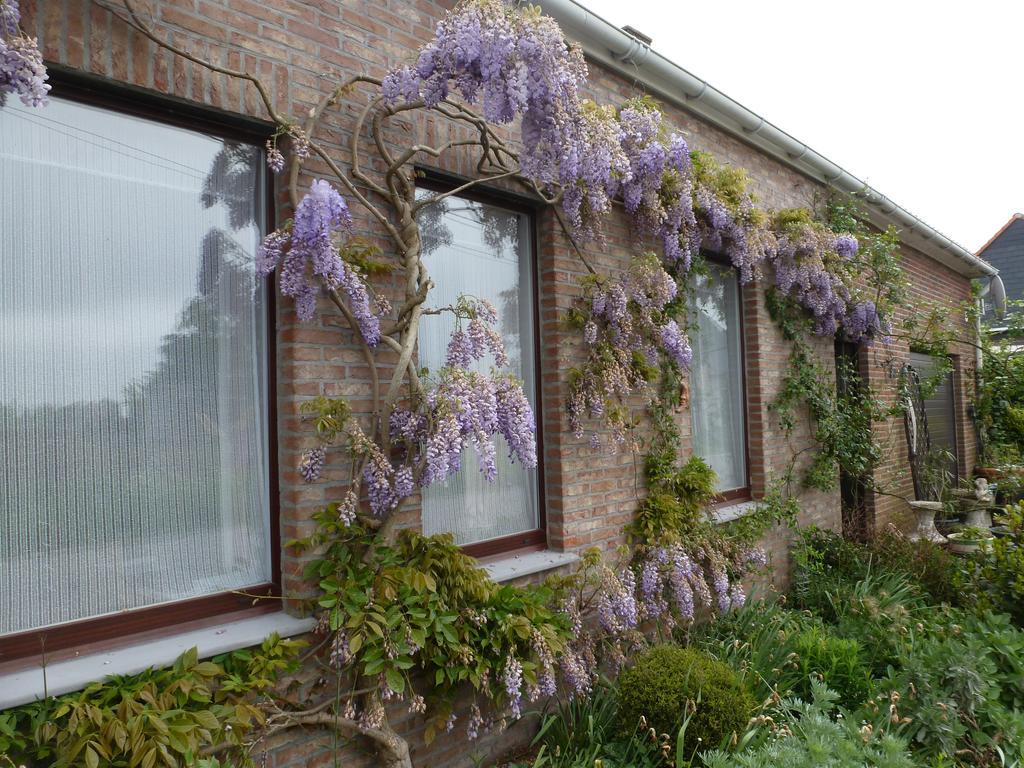 Guesthouse Kolibriehuys Nieuwkerke Buitenkant foto