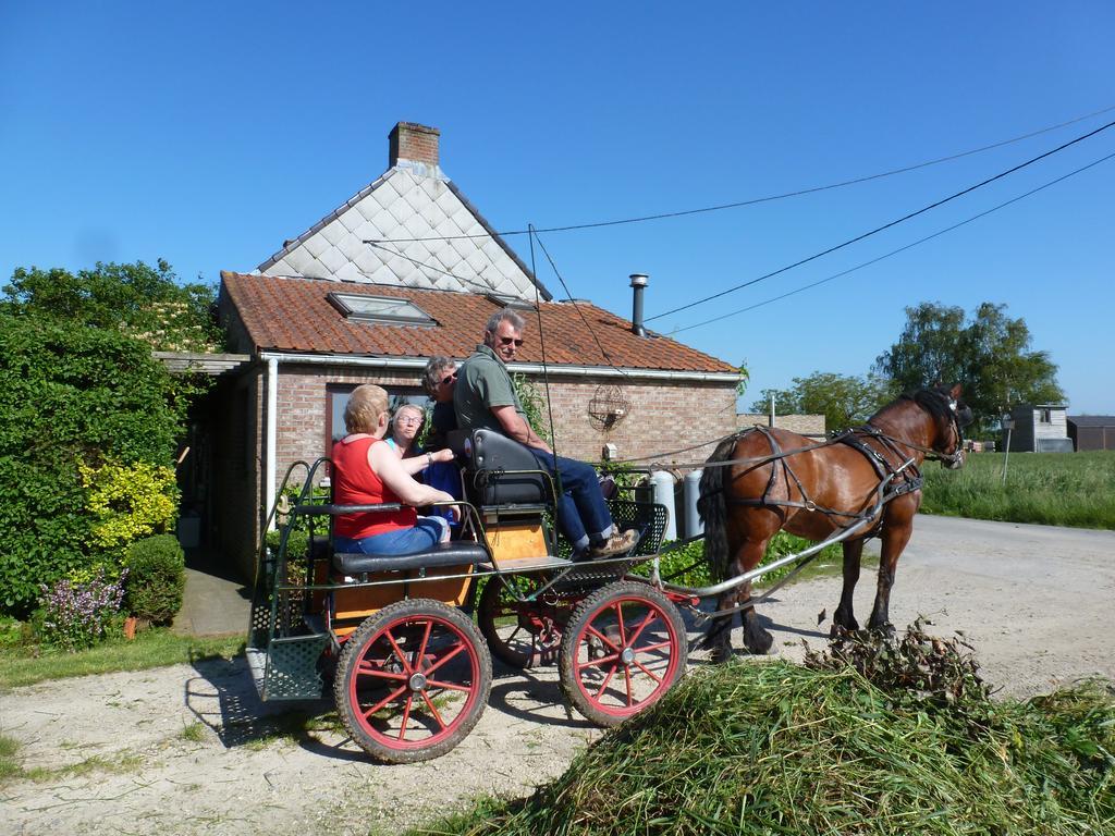 Guesthouse Kolibriehuys Nieuwkerke Buitenkant foto