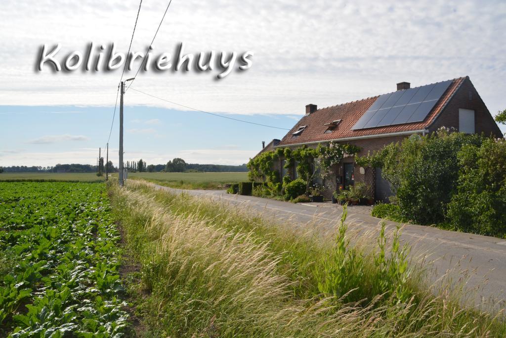 Guesthouse Kolibriehuys Nieuwkerke Buitenkant foto