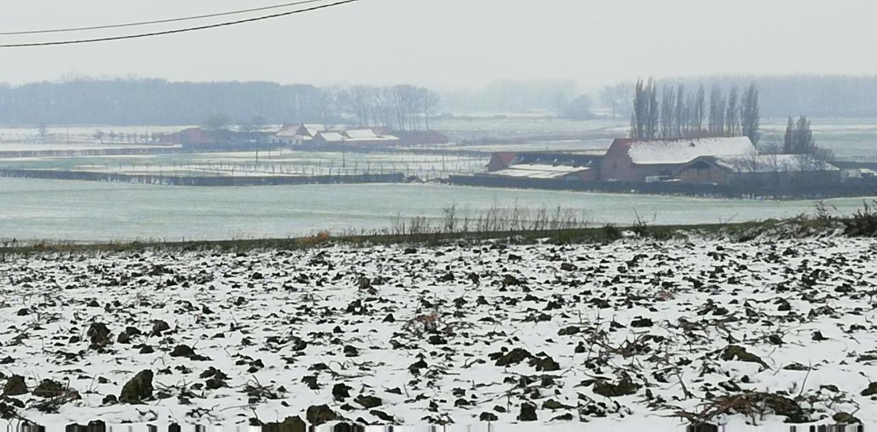 Guesthouse Kolibriehuys Nieuwkerke Buitenkant foto